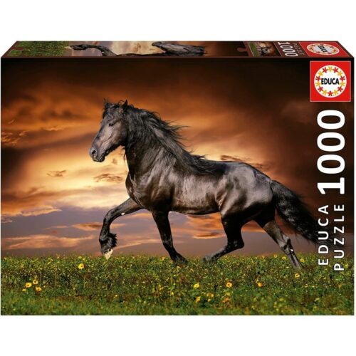 Puzzle 1000 piezas caballo negro al trote en pradera educa 19555