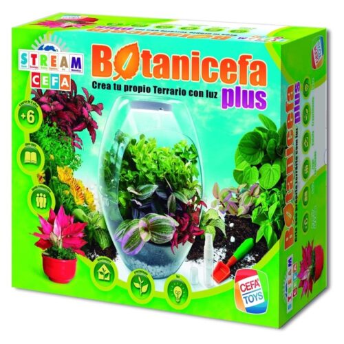 Botanicefa crear tu propio jardín en miniatura con piedras y luces