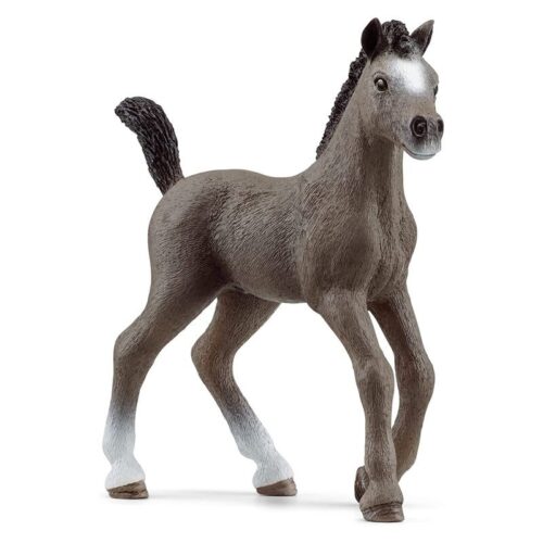 CHEVAL DE SELLE FR.FOHLE caballo 13957 <
