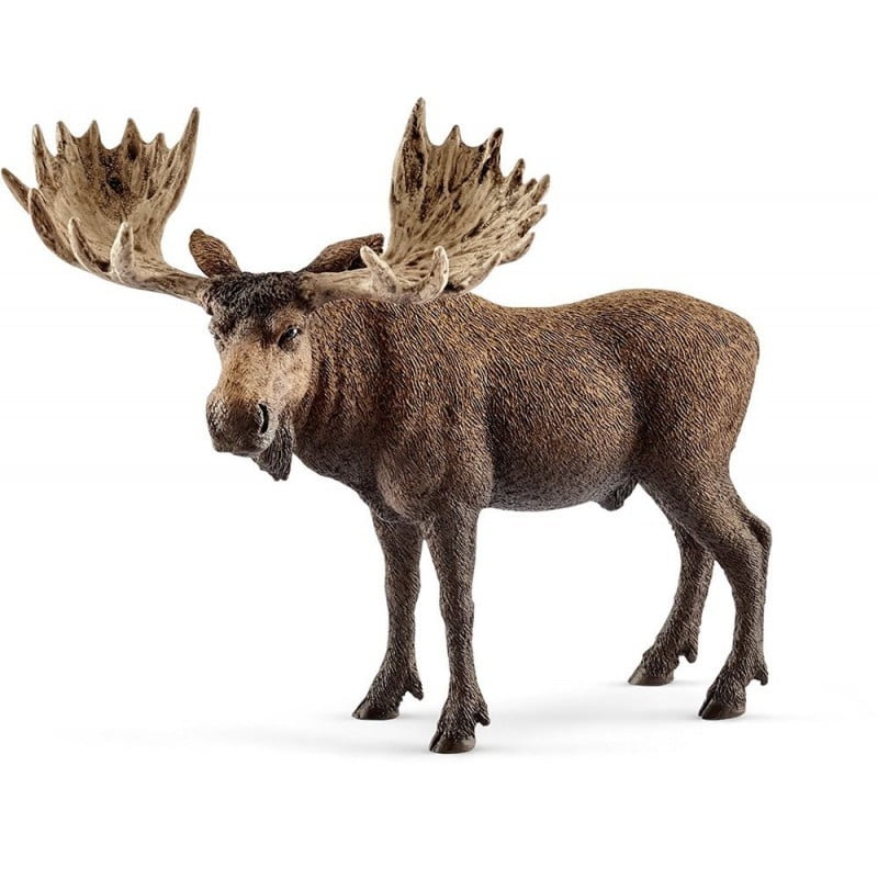 Figura Alce Macho - Schleich 14781
