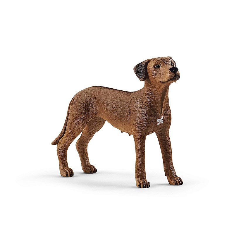 Figura perro crestado rodesiano Schleich 13895