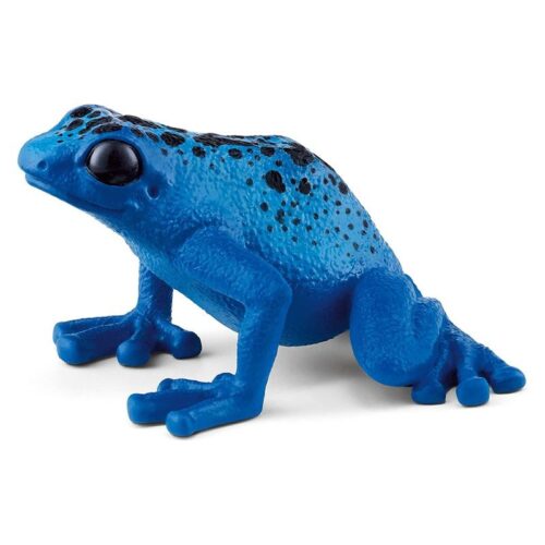 PFEILGIFTFROSCH rana flecha azul 14864 #