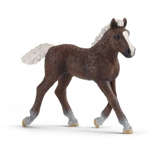 Figura Potro de la selva negra Schleich 13899