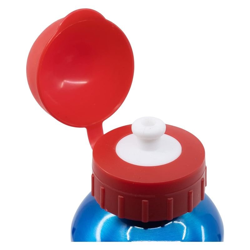 Botella de aluminio azul Sonic The Hedgenog 530ml - Imagen 2