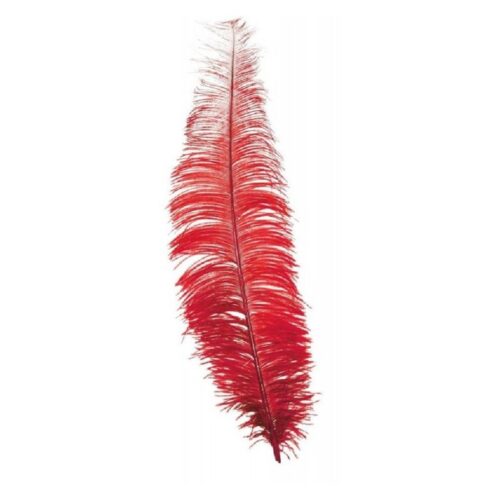 Pluma de avestruz para disfraces rojo grande tamaño 40cm Guirca 17666