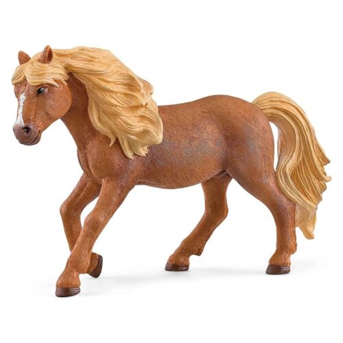 PONI SEMENTAL ISLANDES 13943 <
