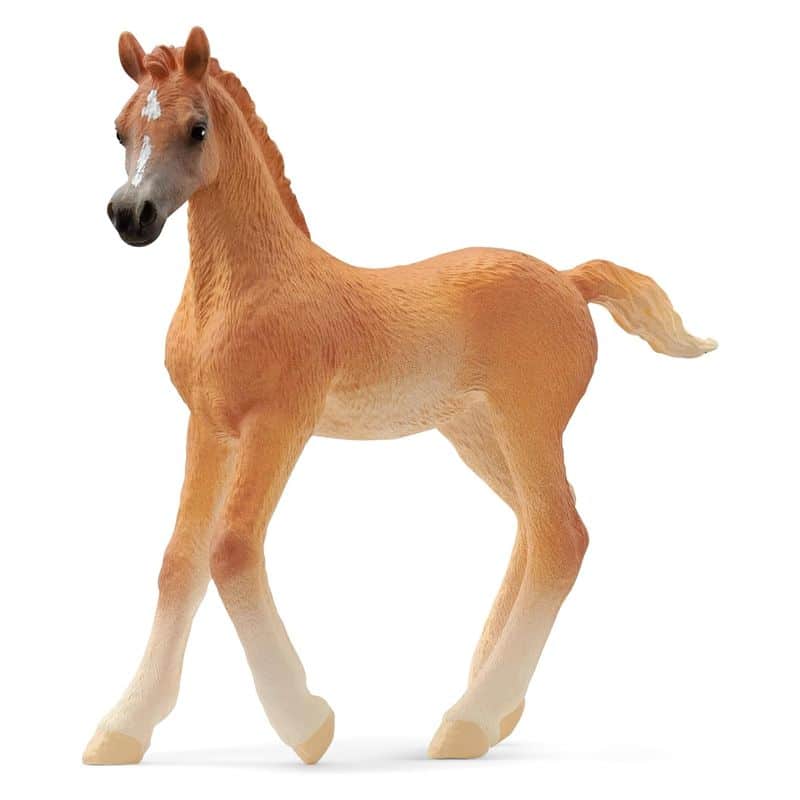 Figura Potro árabe de Schleich de la línea Horse Club 13984