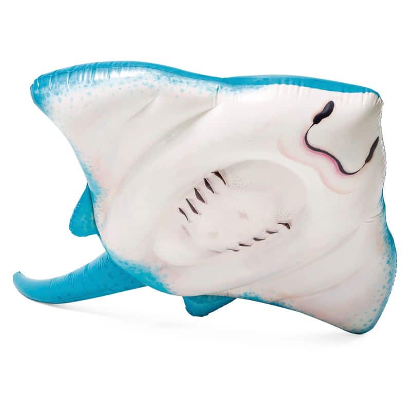Raya hinchable capacidad 1 persona para piscina verano 57576 INTEX - Imagen 2