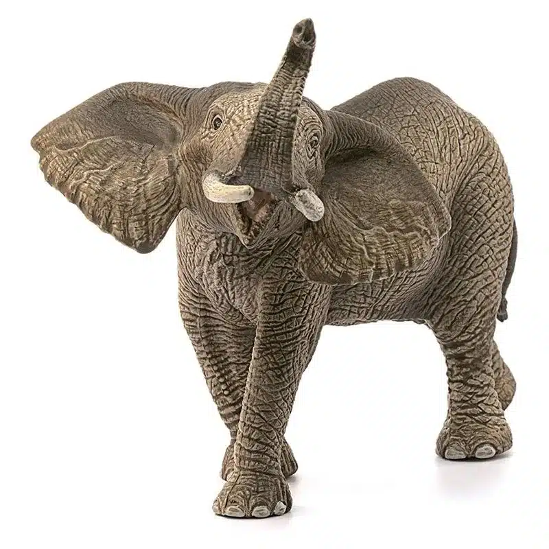 Schleich Elefante Africano Macho WILD LIFE - figura 14762 SCHLEICH - Imagen 2