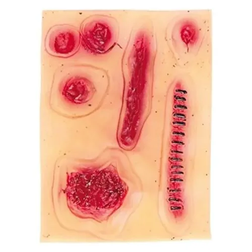 Pack de seis unidades de cicatrices para caracterización Guirca 2010