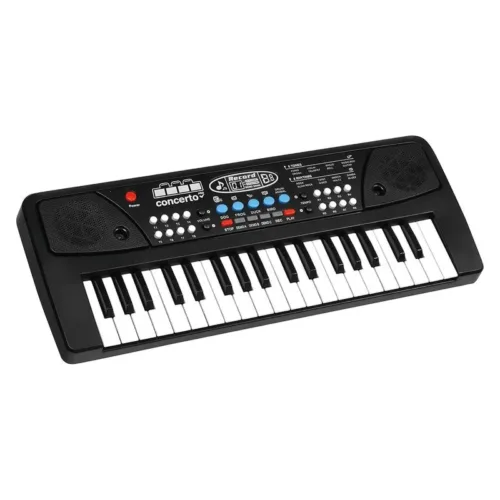 Órgano electrónico negro con 37 teclas y micro 8920 CLAUDIO REIG