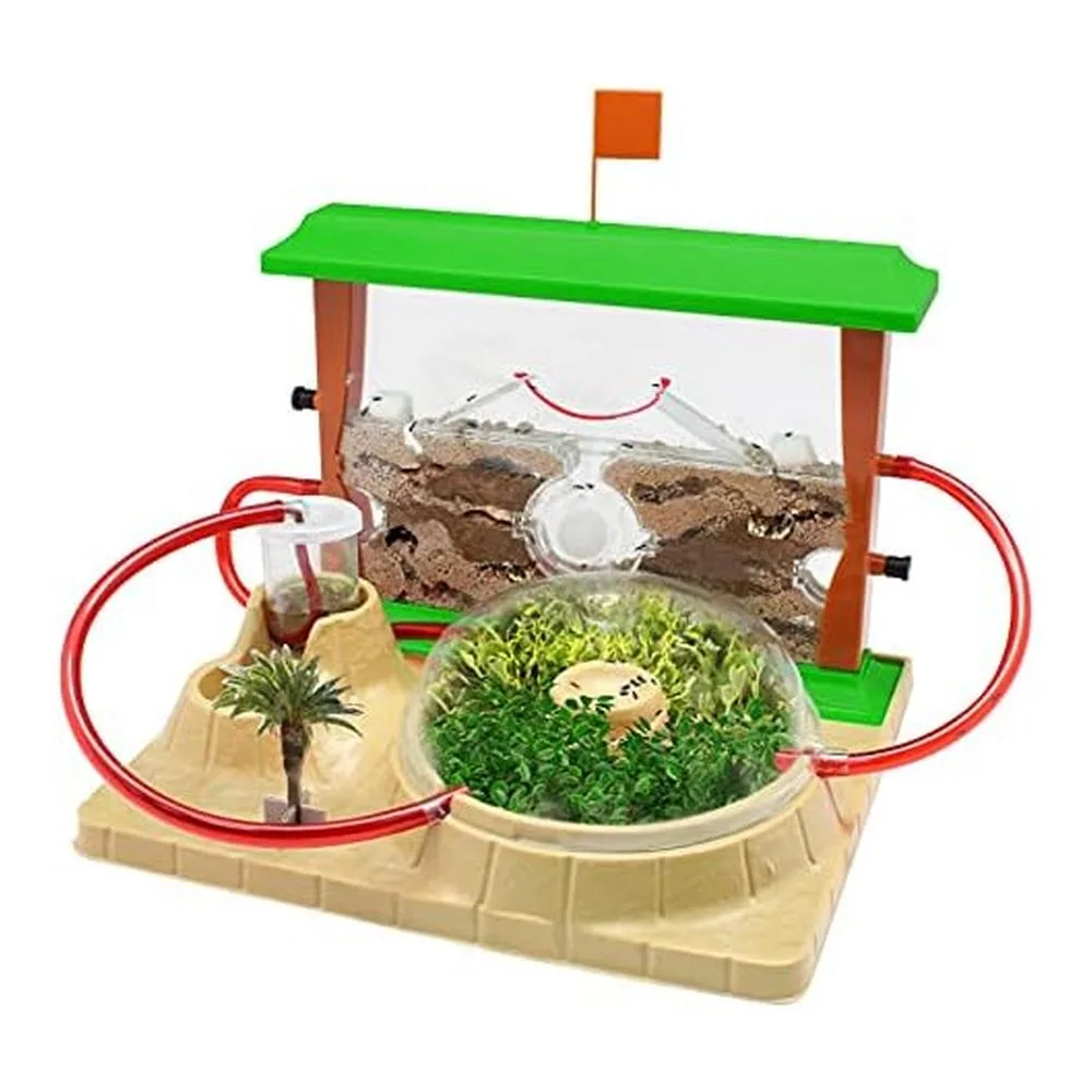 Juego Hormicefa Plus Juego Científico 21851 - Imagen 2