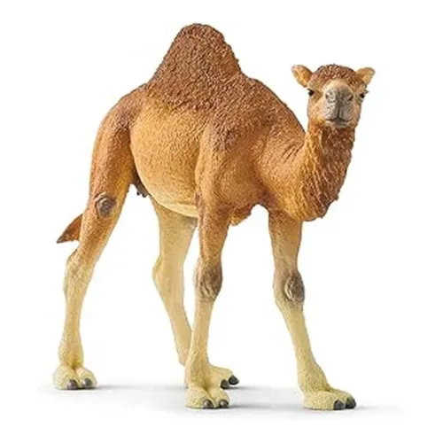Schleich Dromedario Wild Life 14832
