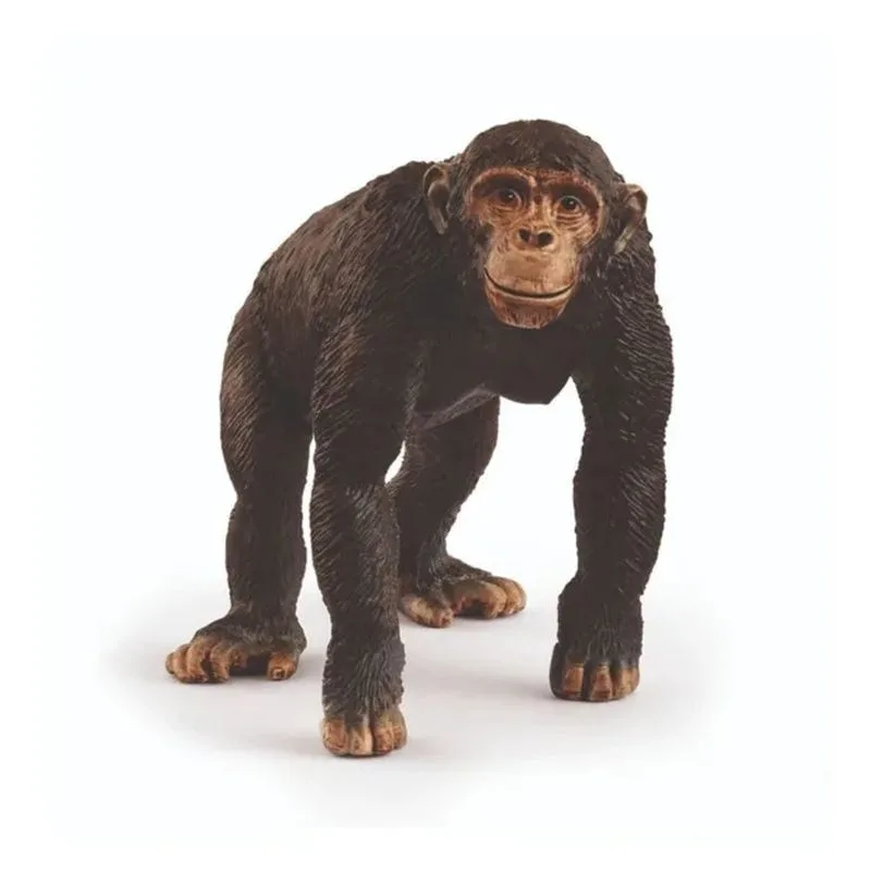 Schleich Chimpancé Wild Life 14883