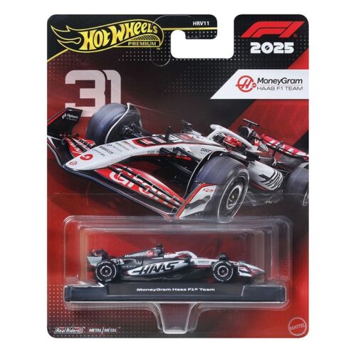 Mattel Hot Wheels F1 MoneyGram Haas F1 Team #31 JKD78